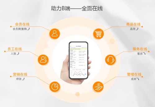 生鮮電商虧損潮中，點DMall為何能逆勢融資28億？